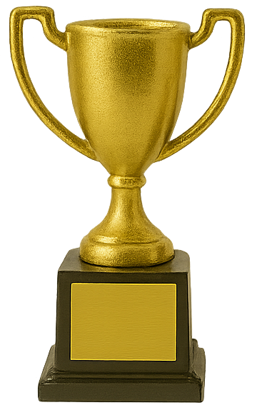 Excellence Award